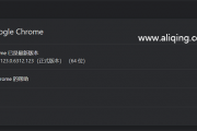 谷歌浏览器从哪里看版本